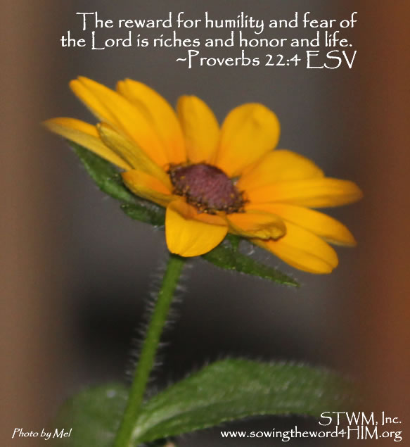 Success_in_Him[2]